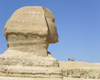 sphinx  egyptian poster